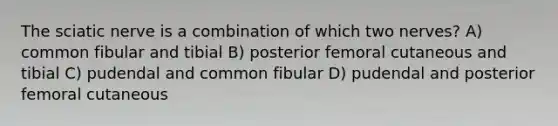 The sciatic nerve is a combination of which two nerves? A) common fibular and tibial B) posterior femoral cutaneous and tibial C) pudendal and common fibular D) pudendal and posterior femoral cutaneous