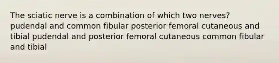 The sciatic nerve is a combination of which two nerves? pudendal and common fibular posterior femoral cutaneous and tibial pudendal and posterior femoral cutaneous common fibular and tibial