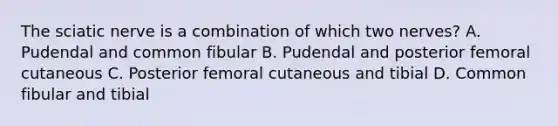 The sciatic nerve is a combination of which two nerves? A. Pudendal and common fibular B. Pudendal and posterior femoral cutaneous C. Posterior femoral cutaneous and tibial D. Common fibular and tibial