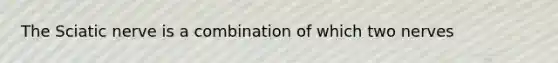 The Sciatic nerve is a combination of which two nerves