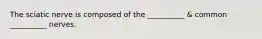 The sciatic nerve is composed of the __________ & common __________ nerves.