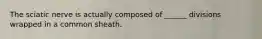 The sciatic nerve is actually composed of ______ divisions wrapped in a common sheath.