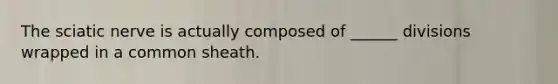 The sciatic nerve is actually composed of ______ divisions wrapped in a common sheath.