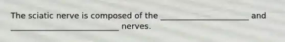 The sciatic nerve is composed of the ______________________ and ___________________________ nerves.