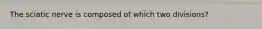 The sciatic nerve is composed of which two divisions?