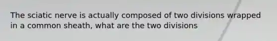 The sciatic nerve is actually composed of two divisions wrapped in a common sheath, what are the two divisions