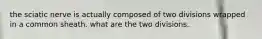 the sciatic nerve is actually composed of two divisions wrapped in a common sheath. what are the two divisions.