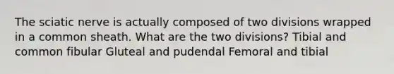 The sciatic nerve is actually composed of two divisions wrapped in a common sheath. What are the two divisions? Tibial and common fibular Gluteal and pudendal Femoral and tibial