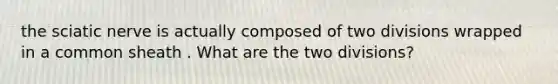 the sciatic nerve is actually composed of two divisions wrapped in a common sheath . What are the two divisions?