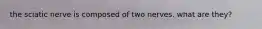the sciatic nerve is composed of two nerves. what are they?