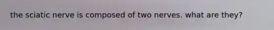 the sciatic nerve is composed of two nerves. what are they?
