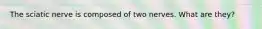 The sciatic nerve is composed of two nerves. What are they?