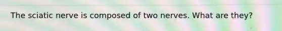The sciatic nerve is composed of two nerves. What are they?