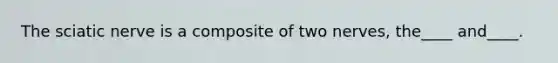 The sciatic nerve is a composite of two nerves, the____ and____.