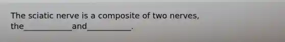The sciatic nerve is a composite of two nerves, the____________and___________.