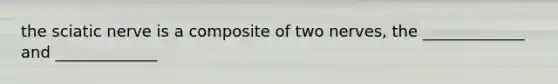 the sciatic nerve is a composite of two nerves, the _____________ and _____________