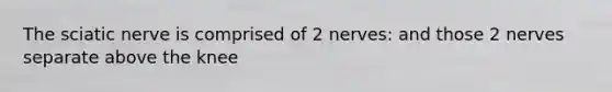 The sciatic nerve is comprised of 2 nerves: and those 2 nerves separate above the knee