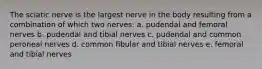 The sciatic nerve is the largest nerve in the body resulting from a combination of which two nerves: a. pudendal and femoral nerves b. pudendal and tibial nerves c. pudendal and common peroneal nerves d. common fibular and tibial nerves e. femoral and tibial nerves