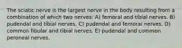 The sciatic nerve is the largest nerve in the body resulting from a combination of which two nerves: A) femoral and tibial nerves. B) pudendal and tibial nerves. C) pudendal and femoral nerves. D) common fibular and tibial nerves. E) pudendal and common peroneal nerves.