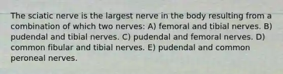 The sciatic nerve is the largest nerve in the body resulting from a combination of which two nerves: A) femoral and tibial nerves. B) pudendal and tibial nerves. C) pudendal and femoral nerves. D) common fibular and tibial nerves. E) pudendal and common peroneal nerves.