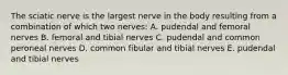 The sciatic nerve is the largest nerve in the body resulting from a combination of which two nerves: A. pudendal and femoral nerves B. femoral and tibial nerves C. pudendal and common peroneal nerves D. common fibular and tibial nerves E. pudendal and tibial nerves