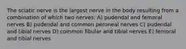 The sciatic nerve is the largest nerve in the body resulting from a combination of which two nerves: A) pudendal and femoral nerves B) pudendal and common peroneal nerves C) pudendal and tibial nerves D) common fibular and tibial nerves E) femoral and tibial nerves