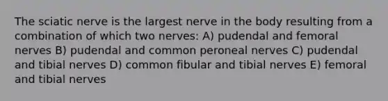 The sciatic nerve is the largest nerve in the body resulting from a combination of which two nerves: A) pudendal and femoral nerves B) pudendal and common peroneal nerves C) pudendal and tibial nerves D) common fibular and tibial nerves E) femoral and tibial nerves