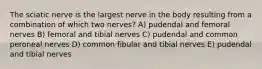 The sciatic nerve is the largest nerve in the body resulting from a combination of which two nerves? A) pudendal and femoral nerves B) femoral and tibial nerves C) pudendal and common peroneal nerves D) common fibular and tibial nerves E) pudendal and tibial nerves