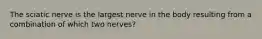 The sciatic nerve is the largest nerve in the body resulting from a combination of which two nerves?