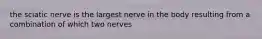 the sciatic nerve is the largest nerve in the body resulting from a combination of which two nerves