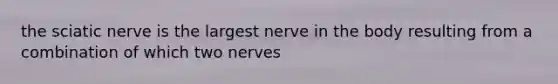 the sciatic nerve is the largest nerve in the body resulting from a combination of which two nerves