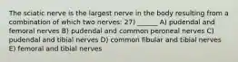 The sciatic nerve is the largest nerve in the body resulting from a combination of which two nerves: 27) ______ A) pudendal and femoral nerves B) pudendal and common peroneal nerves C) pudendal and tibial nerves D) common fibular and tibial nerves E) femoral and tibial nerves