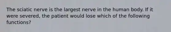 The sciatic nerve is the largest nerve in the human body. If it were severed, the patient would lose which of the following functions?