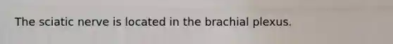 The sciatic nerve is located in the brachial plexus.