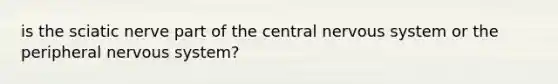 is the sciatic nerve part of the central nervous system or the peripheral nervous system?