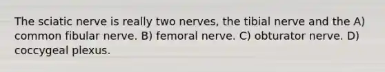 The sciatic nerve is really two nerves, the tibial nerve and the A) common fibular nerve. B) femoral nerve. C) obturator nerve. D) coccygeal plexus.