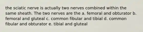 the sciatic nerve is actually two nerves combined within the same sheath. The two nerves are the a. femoral and obturator b. femoral and gluteal c. common fibular and tibial d. common fibular and obturator e. tibial and gluteal