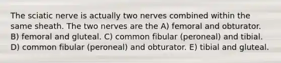 The sciatic nerve is actually two nerves combined within the same sheath. The two nerves are the A) femoral and obturator. B) femoral and gluteal. C) common fibular (peroneal) and tibial. D) common fibular (peroneal) and obturator. E) tibial and gluteal.