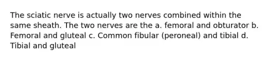 The sciatic nerve is actually two nerves combined within the same sheath. The two nerves are the a. femoral and obturator b. Femoral and gluteal c. Common fibular (peroneal) and tibial d. Tibial and gluteal