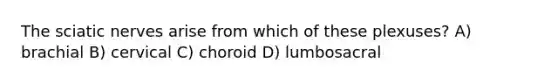 The sciatic nerves arise from which of these plexuses? A) brachial B) cervical C) choroid D) lumbosacral