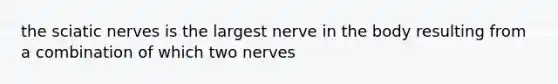 the sciatic nerves is the largest nerve in the body resulting from a combination of which two nerves