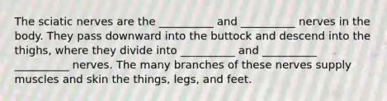 The sciatic nerves are the __________ and __________ nerves in the body. They pass downward into the buttock and descend into the thighs, where they divide into __________ and __________ __________ nerves. The many branches of these nerves supply muscles and skin the things, legs, and feet.