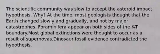 The scientific community was slow to accept the asteroid impact hypothesis. Why? At the time, most geologists thought that the Earth changed slowly and gradually, and not by major catastrophes. Foraminifera appear on both sides of the K-T boundary.Most global extinctions were thought to occur as a result of supernovas.Dinosaur fossil evidence contradicted the hypothesis.