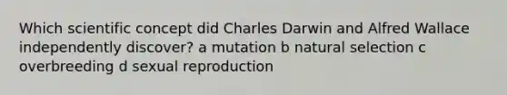 Which scientific concept did Charles Darwin and Alfred Wallace independently discover? a mutation b natural selection c overbreeding d sexual reproduction