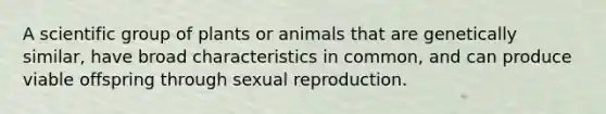 A scientific group of plants or animals that are genetically similar, have broad characteristics in common, and can produce viable offspring through sexual reproduction.