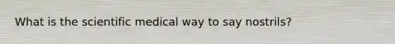 What is the scientific medical way to say nostrils?