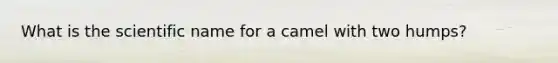 What is the scientific name for a camel with two humps?