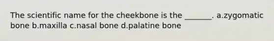 The scientific name for the cheekbone is the _______. a.zygomatic bone b.maxilla c.nasal bone d.palatine bone