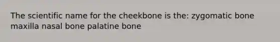 The scientific name for the cheekbone is the: zygomatic bone maxilla nasal bone palatine bone