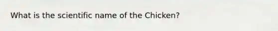 What is the scientific name of the Chicken?